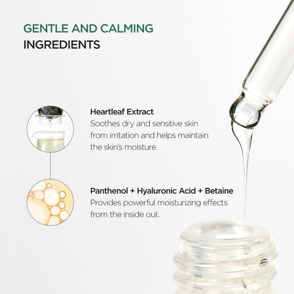 Anua Heartleaf 80% Moisture Soothing Ampoule 30ml